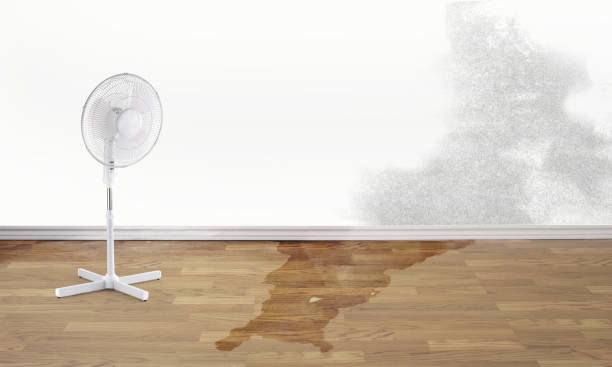 Best 24/7 water damage repair  in Kane, PA