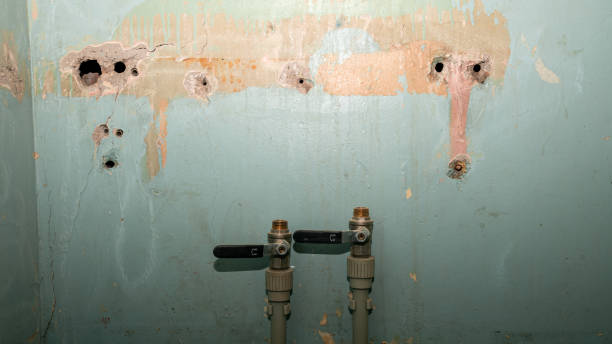Best 24-hour water damage restoration  in Kane, PA