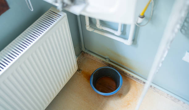 Best Basement water damage restoration  in Kane, PA