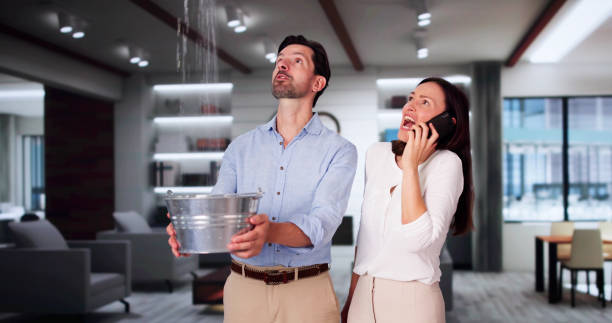 Best Ceiling water damage repair  in Kane, PA